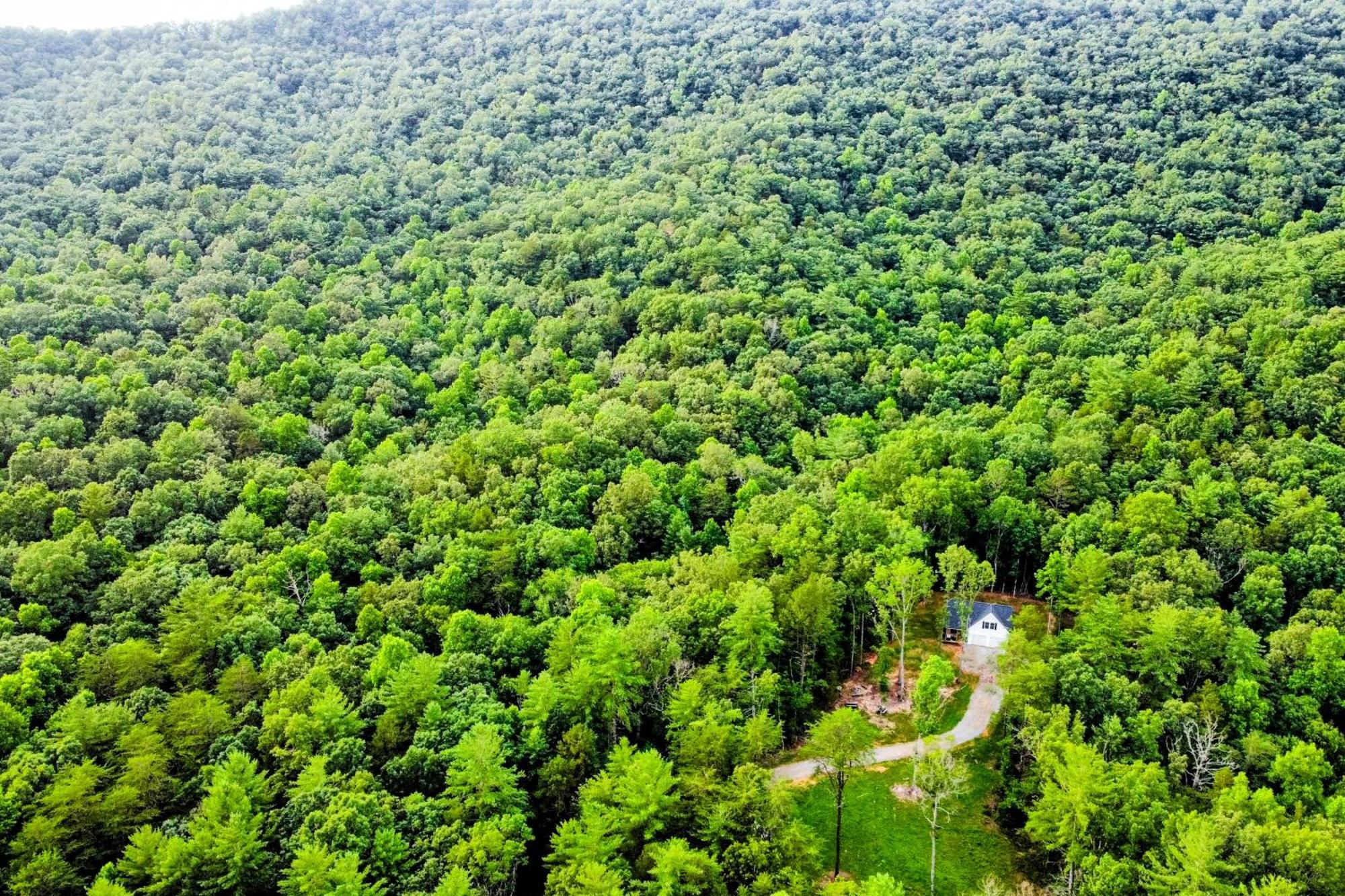 White Owl Cottage بليرسفيل المظهر الخارجي الصورة